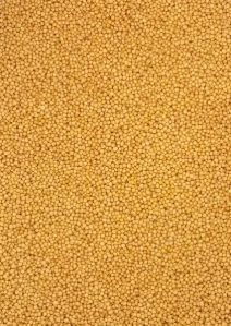 Yellow Mustard Seeds