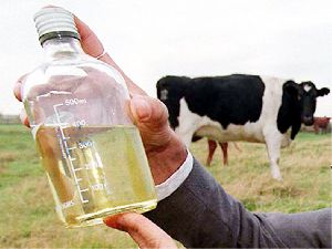 Cow Urine Based Biofertilizer