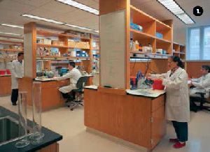 Laboratory Setup Consultancy Services