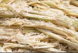 Brinkweid Sugarcane Bagasse