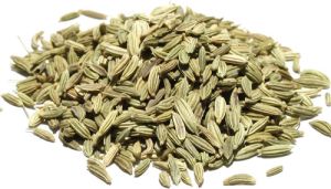 Fennel Seeds