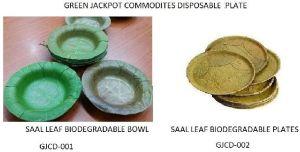 SAAL LEAF DISPOSABLE PLATES