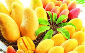 Fresh Mango