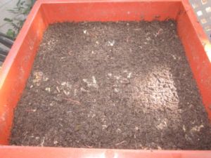 Organic Manure