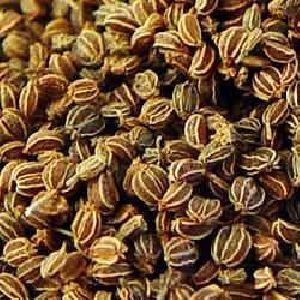 Celery Seeds