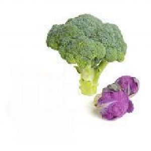 Fresh Broccoli