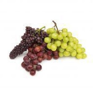 Fresh Grapes