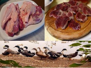 ducks meat