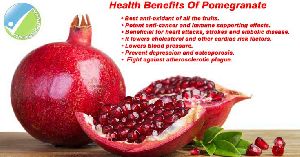 Pomegranate Plants