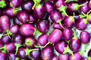 Brinjal