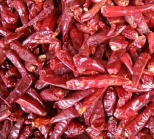 Wonder Stemless Hot Dried Red Chilli