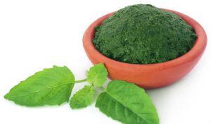 Tulsi Leaf Powder