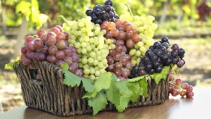 Fresh Grapes