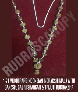 1-21 Mukhi Rare Indonesia Indrakshi Mala