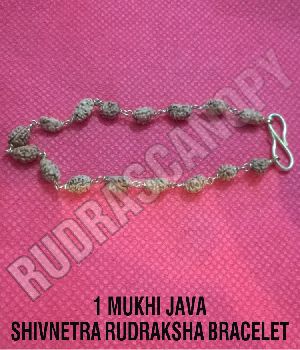 1 Mukhi Java Shivnetra Rudraksha Bracelet