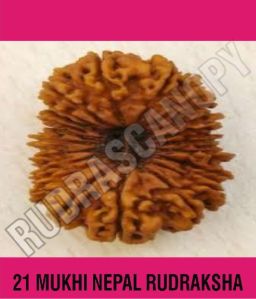 21 Mukhi Nepal Rudraksha