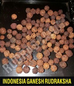 Ganesh Indonesia Rudraksha