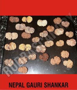 Gauri Shankar Nepal Rudraksha