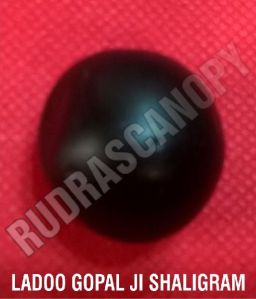 Shri Ladoo Gopal Ji Shaligram Shila