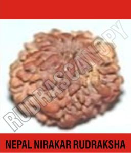 Nirakar Nepal Rudraksha