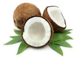 Coconut