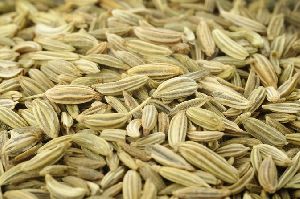 Fennel Seeds