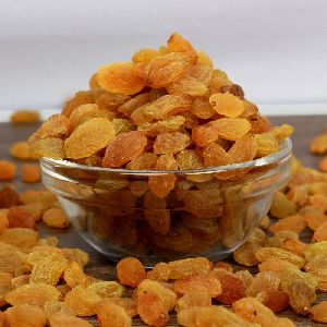 Golden Raisins