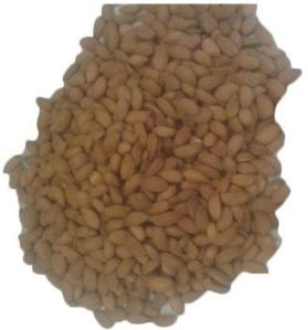 Mamra Kashmiri Almond Kernels