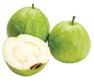 Fresh Guava