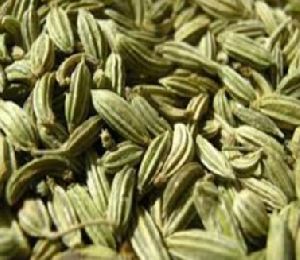 Fennel Seeds