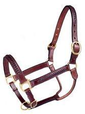 Horse Halter