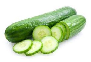 Fresh Cucumber