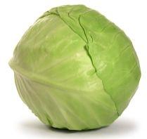 Fresh Cabbage