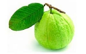 Fresh Guava