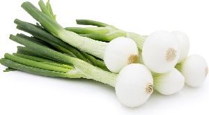 Fresh White Onion