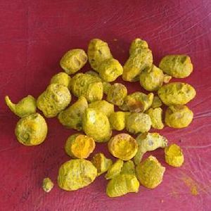 Turmeric Bulbs