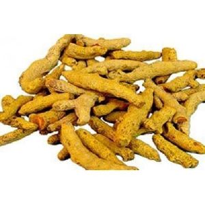 Unpolished Turmeric Finger