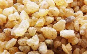 Boswellia Extract