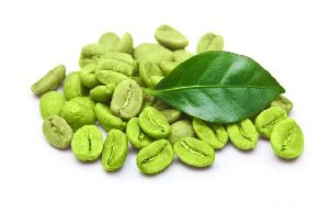 Green Coffee Bean Extract