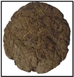 Cow Dung Cake