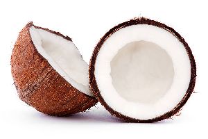 Coconut