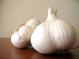 Garlic