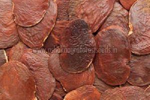 Butea Monosperma Seeds