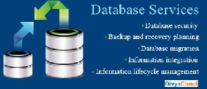Customer Database Service