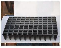 60 Cavity Seedling Tray