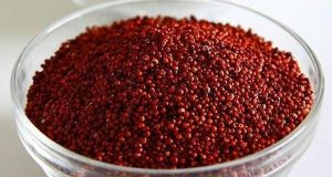 Finger Millet Seeds