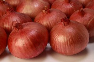 Fresh Onion