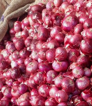 Red Onion