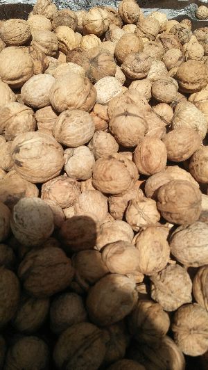 Kashmiri Walnuts