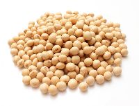 Soybean Protein Concentrate